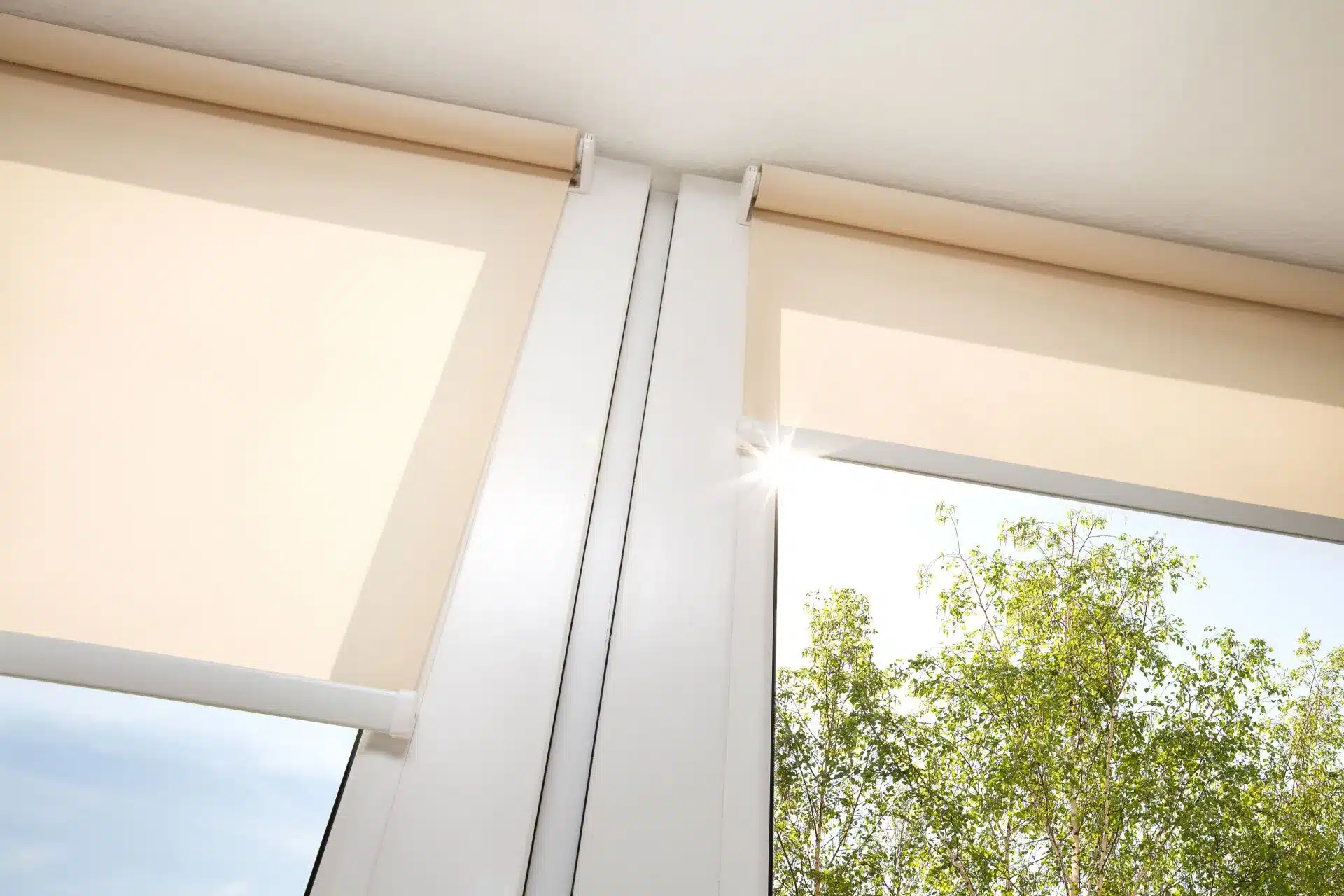 Roller Blinds for South Brisbane